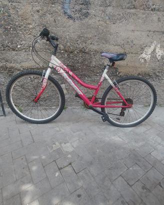 bicicletta da città 