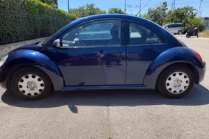 NEW BEETLES