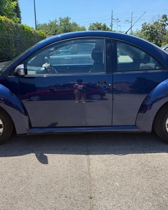 NEW BEETLES