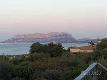 Appartamento Vacanza Sardegna