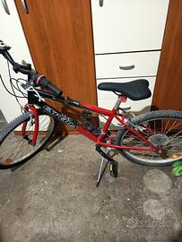 bici mtb 24