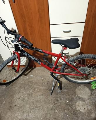bici mtb 24