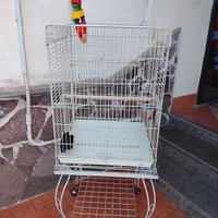 gabbia per pappagalli 