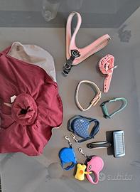 Accessori cane piccola/media taglia 