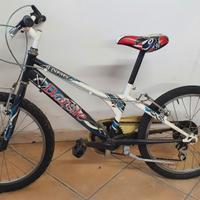 bicicletta 