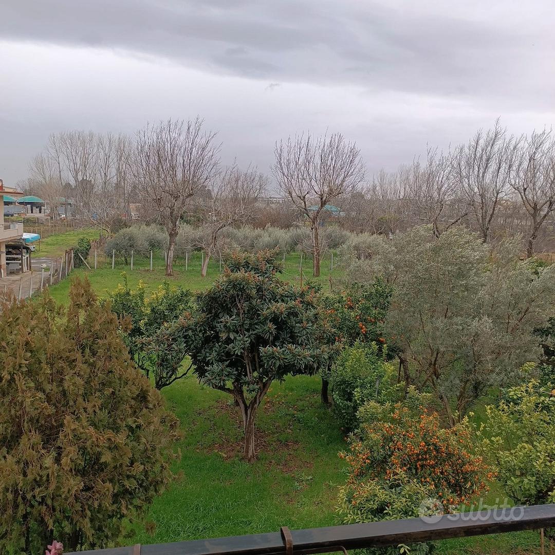 Appartamento – Acerra, Napoli - Vista 2