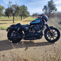 Harley Davidson sportster 1200
