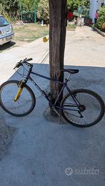 biciclette 26 , maschile e femminile