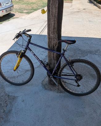 biciclette 26 , maschile e femminile