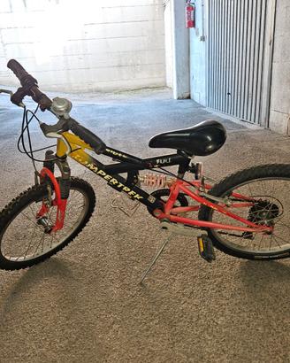 Bicicletta