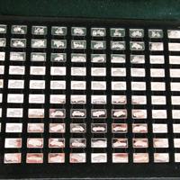 Collezione Argento 925