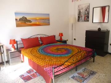 Stanza-singola-arredata,vic:staz/ateneo/via-sparan