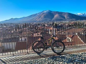 wilier 101x