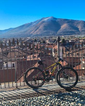 wilier 101x