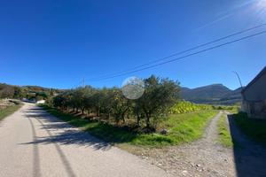 TER. AGRICOLO A CAPACCIO