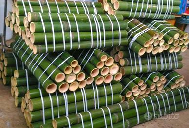 Canne di bambù bamboo - Arredamento e Casalinghi In vendita a Rimini