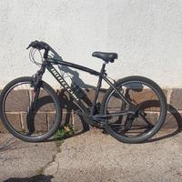 Bici bottecchia 