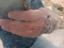 Immagine 4
