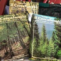 Il Cercafunghi + libri per la casa