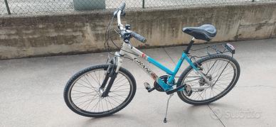 MTB Grandis