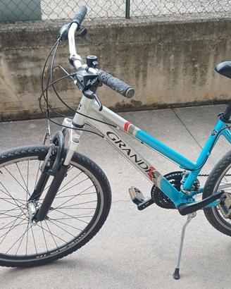 MTB Grandis