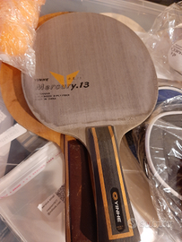 Lezioni di Ping Pong (Tennistavolo)