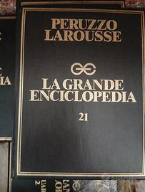 enciclopedia peruzzo larousse