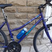 Mountain Bike - Bianchi Husky