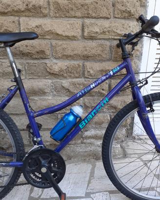 Mountain Bike - Bianchi Husky