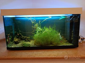 acquario 200 litri