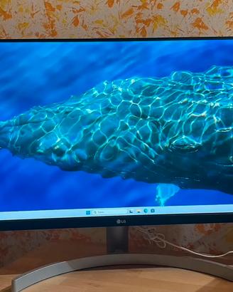 MONITOR LG - 27" FULL HD - USATO POCO