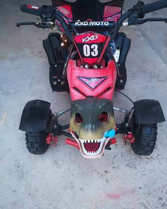  quod 50 cc 