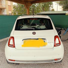 500 bianca ibrida
