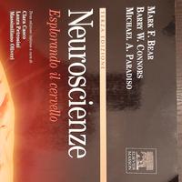 Neuroscienze esplorando il cervello 