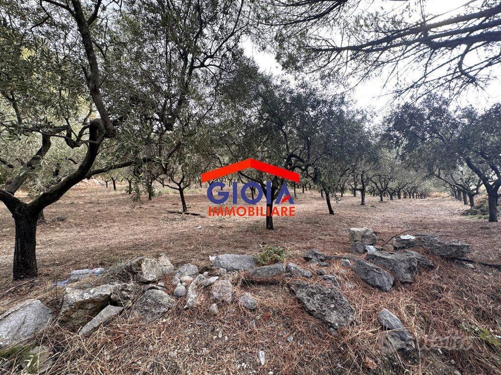 Terreno di 33000 m² a Mondragone - Vista 5