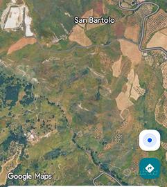 Terreno agricolo 20 ettari