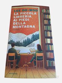 La piccola libreria ai piedi della montagna