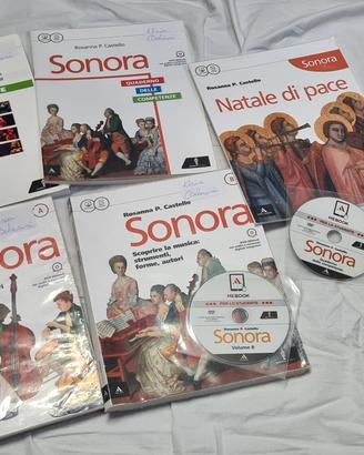 libri testo scuola media ( Sonora)