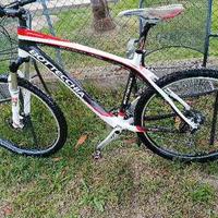 MTB carbon alum 26 27.5 2 29 M/S/L Alta qualità