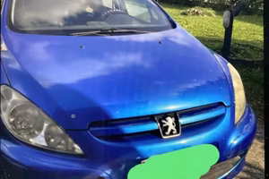 Peugeot station X S anche neopatentati leggi bene