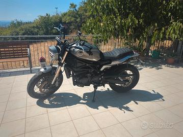 Benelli Leoncino 800 Trail