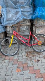 Set Bici da sistemare 