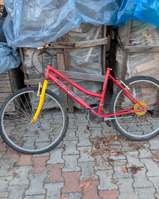 Set Bici da sistemare 