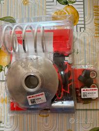 Variatore Beverly 400 hpe