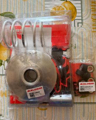 Variatore Beverly 400 hpe