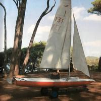 Deriva flipper scow con carrello stradale