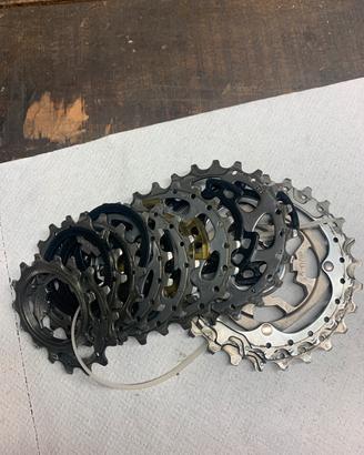 Cassetta campagnolo 10v