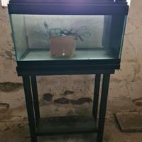 Acquario con mobile