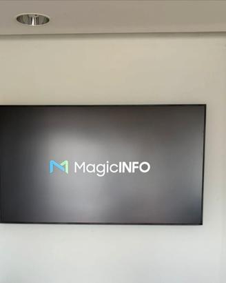 monitor professionale