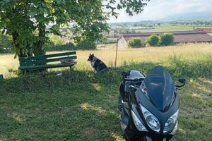 T max 500 2010